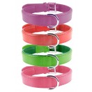 Ace Comfy LEATHER DOG COLLAR Padded And lined with Lamb's Leather (Purple, Red, Kiwi Green, Pink )